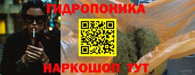 прущие грибы Азнакаево
